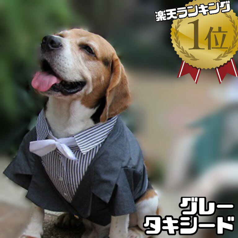 【 中型犬用 】 犬 服 タキシード グレー ストライプ ネクタイ 蝶ネクタイ 結婚式 フォーマル リングドッグ コスプレ 記念日 お祝い 正装 前撮り 金スタッズ マジックテープ留め プレゼント 柴犬 パグ フレンチブルドッグ DoggyDolly FP-F047 犬服