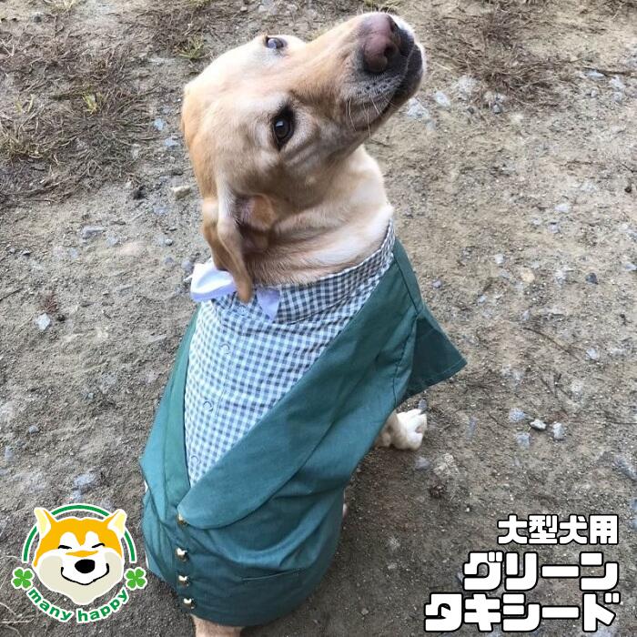 【大型犬用 】犬 服 スーツ タキシード おしゃれ ジャケット モスグリーン 結婚式 ウエディング ドッグ フォーマル ビッグ ネクタイ 前撮り お誕生日 記念日 ゴールデンレトリーバー ラブラドール シェパード BD554 犬服