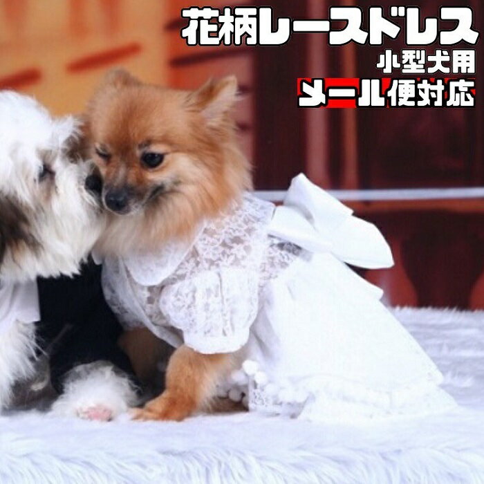 【 小型犬用 】 犬 服 ドレス 結婚式 ウェディングドレス ゴージャス 白 レース お祝い 記念日 前撮り 洋装 マジックテープ留め 美しい 可憐 ペットウェア チワワ ヨークシャテリア ポメラニアン トイプードル 花嫁 F006 犬服