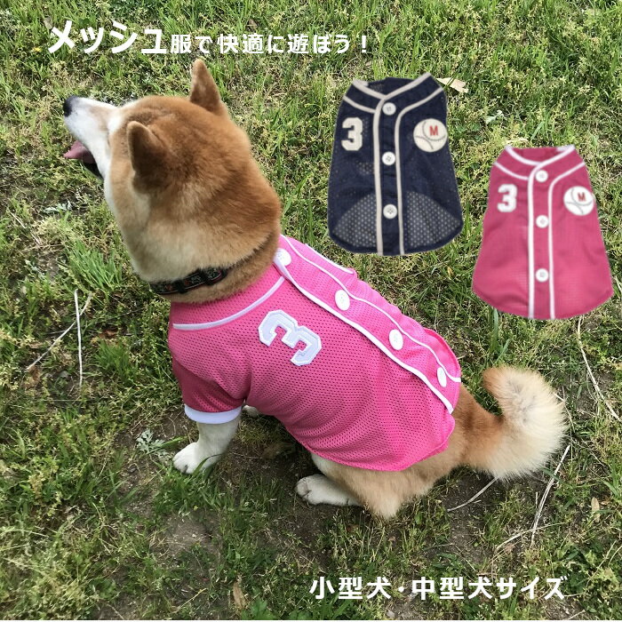 クーポン配布中 【 小型犬用 】 【 中型犬用 】 限定1つ 犬 服