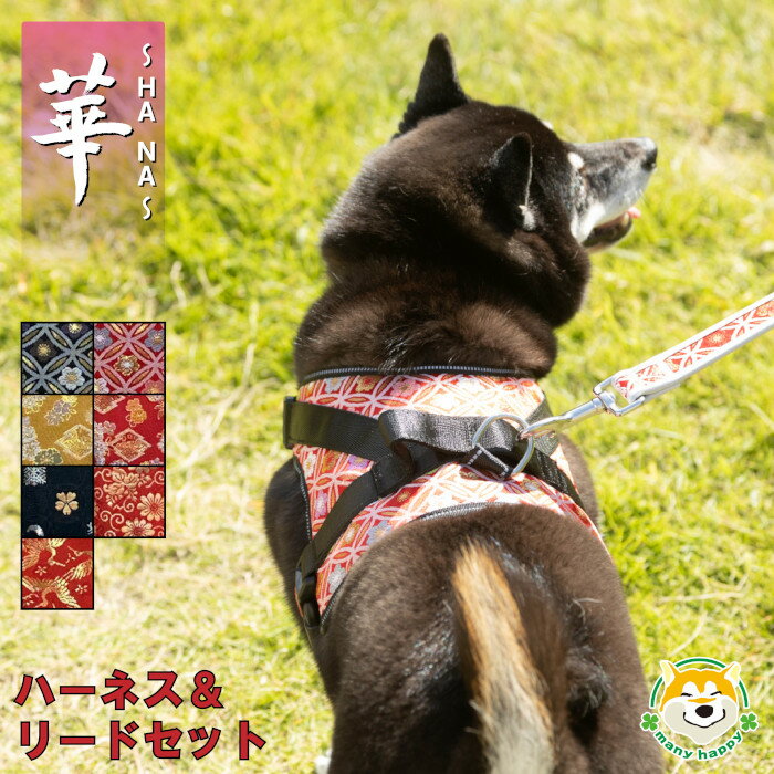 クーポン配布中 【 中型犬用 】 犬 ハーネス カフェリード セット 和柄 華〜HANA〜 背中に乗せてカチッと留めるだけ 胴輪 引っ張り防止 ハンドル付き お祝い プレゼント 長寿 西陣金襴織 プレゼント メッシュ 反射糸 ベルト長さ調節可能 柴犬 パグ フレンチブルドッグのサムネイル