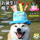 クーポン配布中 犬 お誕生日 帽子 ハッピィバースデー お祝い バースデー ケーキ ろうそく ハット 記念 家族写真 小型犬 中型犬 大型犬 ピンク かぶりもの...