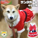 【 中型犬用 】 犬 服 クリスマス サンタクロース フリフリ フリース 2段フリル 女の子 コスチューム コスプレ 裏地サテン ガール ワンピース ゴージャス...