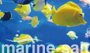 【送料無料】人工海水 マリンソルト 600L用（200L用×3袋）　人工海水の素 養殖 オールラウンドタイプ 3
