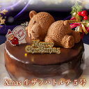 ＼最短当日出荷／ クリスマスケーキ 2023 送料無料 生ザッハトルテ クリスマスケーキ 4号 (  ...
