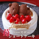 誕生日ケーキ バースデーケーキ 送料無料 苺 ショートケーキ 4号 約12cm ( 2人 〜4人) 5号 約15cm ( 4人 〜6人) イチゴ ケーキ いちご...