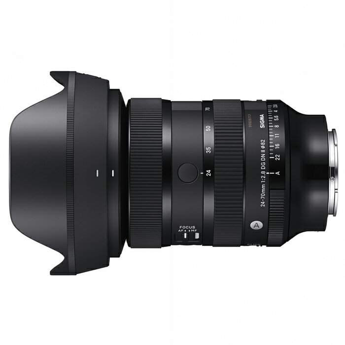 ＜納期未定＞【フィルターセット】Tamron (タムロン) 28-200mm F2.8-5.6 DiIII RXD / Sony Eマウント フルサイズ 交換レンズ