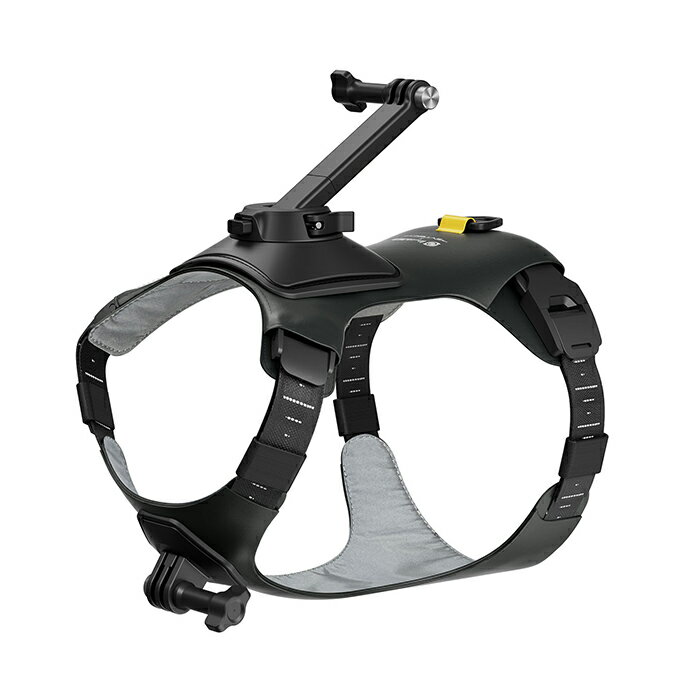 《新品アクセサリー》 Insta360(インスタサンロクマル) ペットハーネスマウント Size M【在庫限り】【KK9N0D18P】