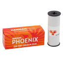 《新品アクセサリー》 HARMAN(ハーマン) Phoenix 200 120 【KK9N0D18P】(2)