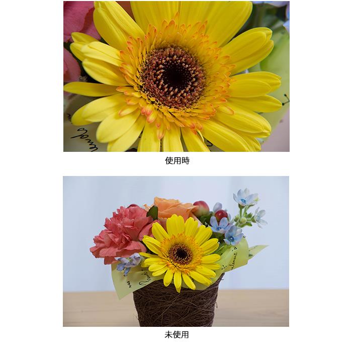 �Կ��ʥ��������꡼�� Kenko (���󥳡�) MC�����������å� NEO No.2 72mm��KK9N0D18P��