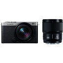 《新品》Panasonic (パナソニック) LUMIX S9 ダブルレンズキット DC-S9W-S ダークシルバー[ ミラーレス一眼カメラ | デジタル一眼カ...