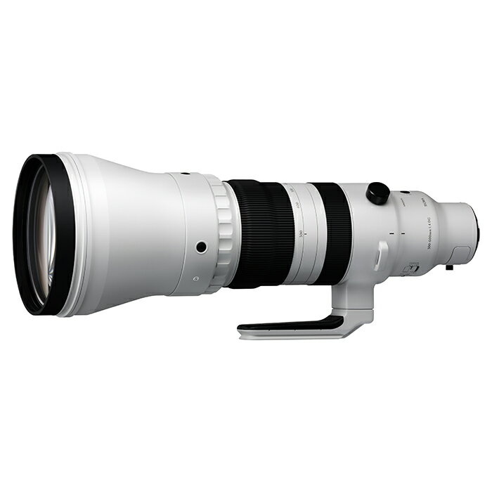 �Կ��ʡ� SIGMA (������) S 300-600mm F4 DG OS�ʥ饤��SL/TL�ѡˡ̼���������ͽ���ʡ� [ Lens | �򴹥�� ]��KK9N0D18P��