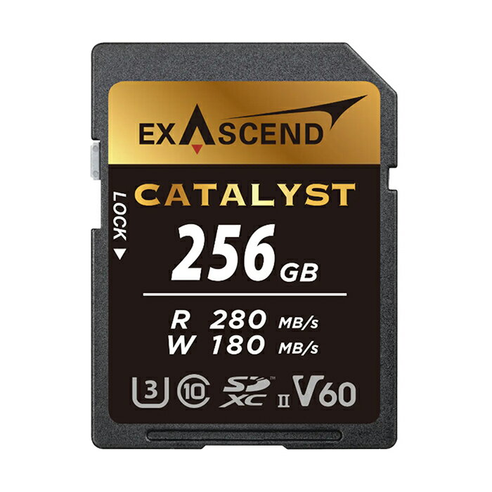 《新品アクセサリー》 EXASCEND (エグザセンド) Catalyst SDXC 256GB UHS-II V60 EX256GSDV60【KK9N0D1..