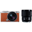 《新品》Panasonic (パナソニック) LUMIX S9 ダブルレンズキット DC-S9W-D キャメルオレンジ[ ミラーレス一眼カメラ | デジタル一眼...