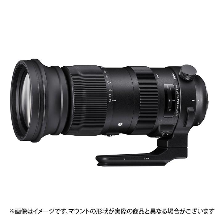 《新品》SIGMA シグマ S 60-600mm F4.5-6.3 DG OS HSM ニコンF用 [ Lens | 交換レンズ ]【KK9N0D18P】