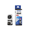 《新品アクセサリー》 EPSON(エプソン) インクボトル タケトンボ TAK-PB フォトブラック【KK9N0D18P】