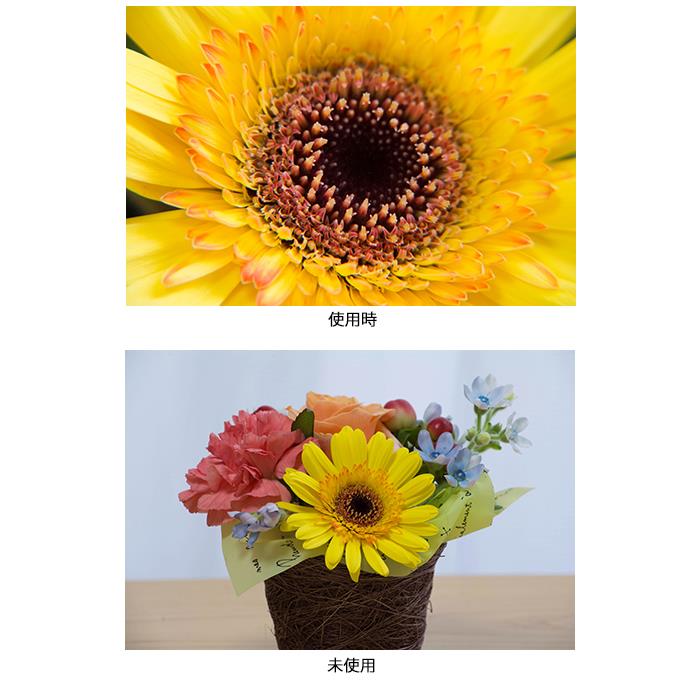 《新品アクセサリー》 Kenko (ケンコー) MCクローズアップ NEO No.4 67mm【KK9N0D18P】 3