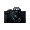 DC-G100K-K パナソニック ミラーレス一眼カメラ「LUMIX G100」 Kキット LUMIX Gシリーズ