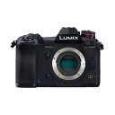 【あす楽】《新品》 Panasonic LUMIX DC-G...