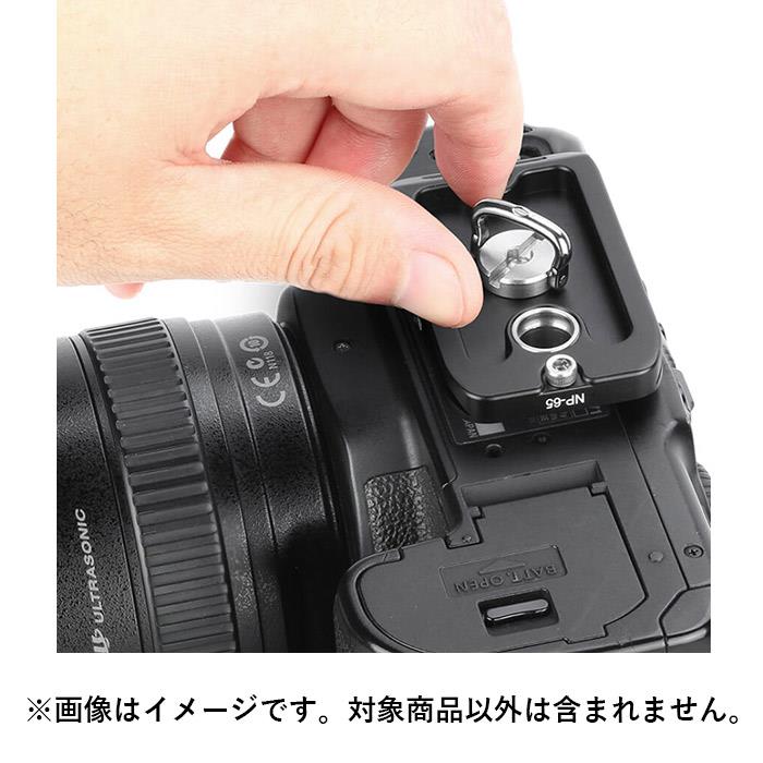 �Կ��ʥ��������꡼�� Leofoto (�쥪�ե���) �����å���꡼���ץ졼�� NP-65��KK9N0D18P��