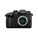 《新品》Panasonic (パナソニック) LUMIX DC-GH5M2 ボディ ミラーレス一眼カメラ デジタル一眼カメラ デジタルカメラ 【KK9N0D18P】