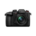 《新品》Panasonic (パナソニック) LUMIX DC-GH5M2M 標準ズームレンズキット ミラーレス一眼カメラ デジタル一眼カメラ デジタルカメラ 【KK9N0D18P】