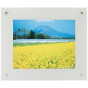《新品アクセサリー》 FUJICOLOR (フジカラー) プロフレーム 6切 シルバー【KK9N0D18P】