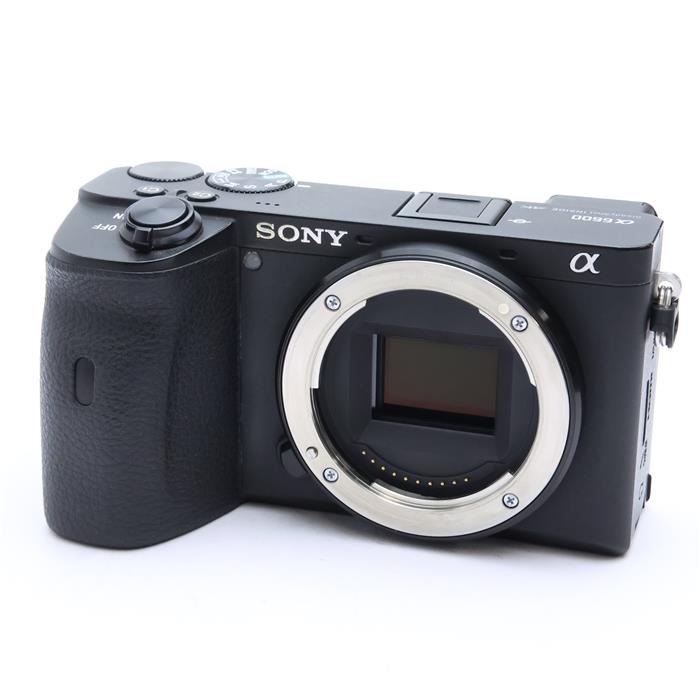 楽天市場】α6600の通販