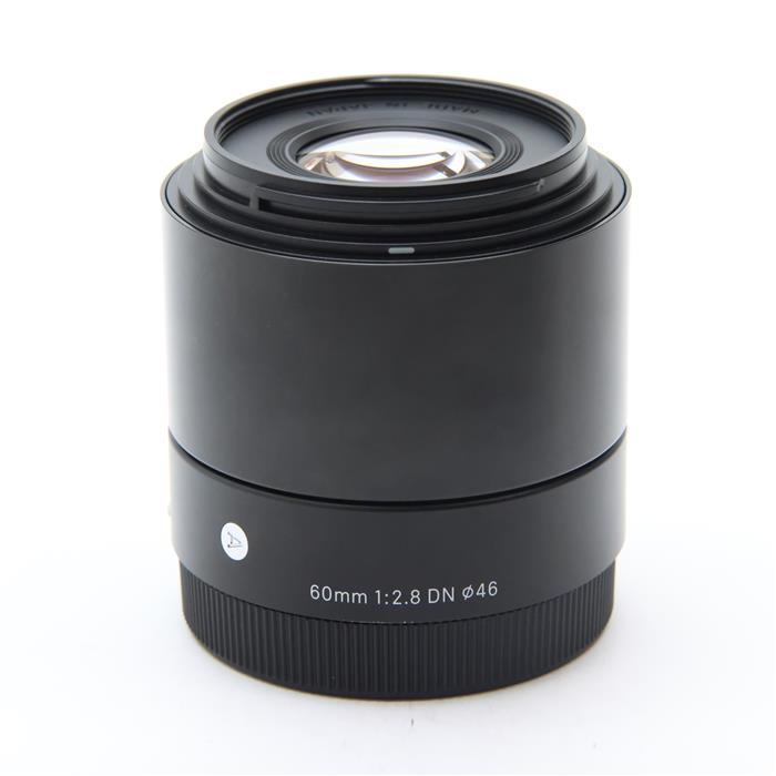 楽天市場】sigma 60mm f2．8 dn ソニーeの通販