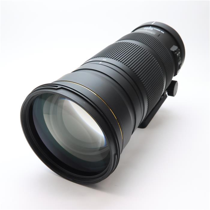 楽天市場】apo 120-300mm f2.8の通販