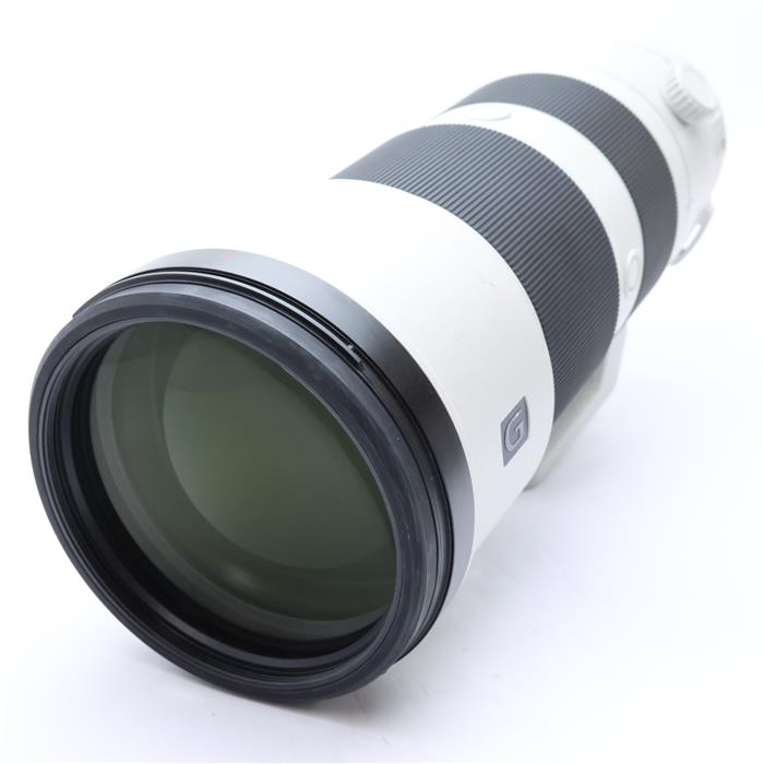 FE 200-600mm F5.6-6.3 G OSS