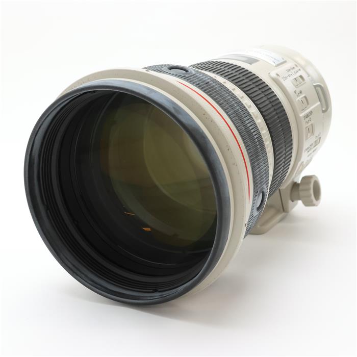 ڤڡ š ͭʡ Canon EF300mm F2.8L IS USM [ Lens | 򴹥 ]