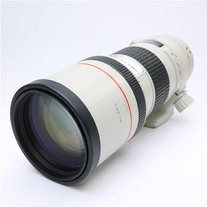 楽天市場】canon ef 300mm f4l usmの通販