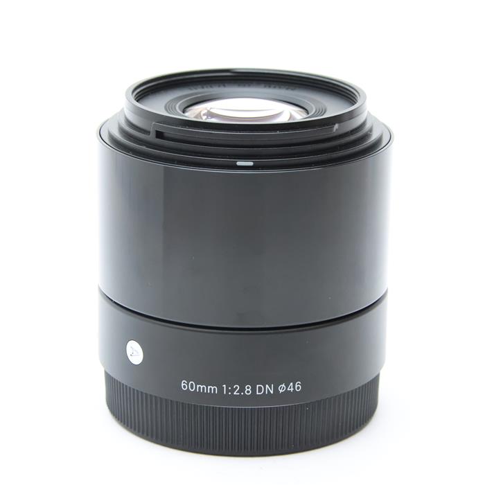 楽天市場】sigma 60mm f2．8 dn ソニーeの通販
