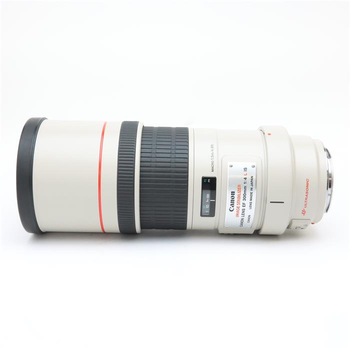 ����š� �����ʡ� Canon EF300mm F4L IS USM [ Lens | �򴹥�� ]
