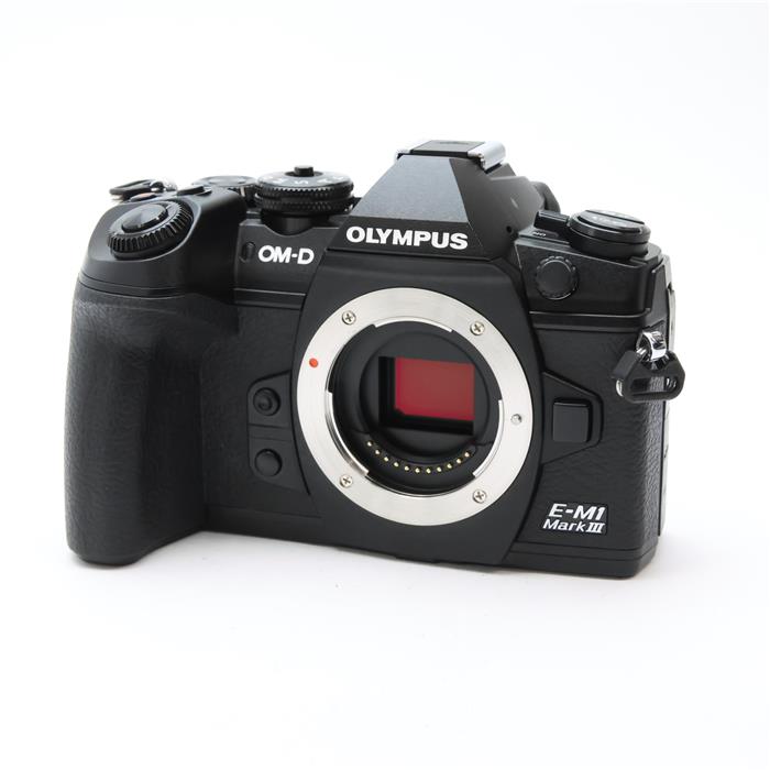 Olympus E-M1 Mark III ミラーレス一眼カメラ ミラーレス一眼 OLYMPUS OM-D E-M1 Mark III レビュー - ムラウチ