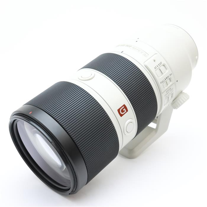 【中古】 《並品》SONYFE70...