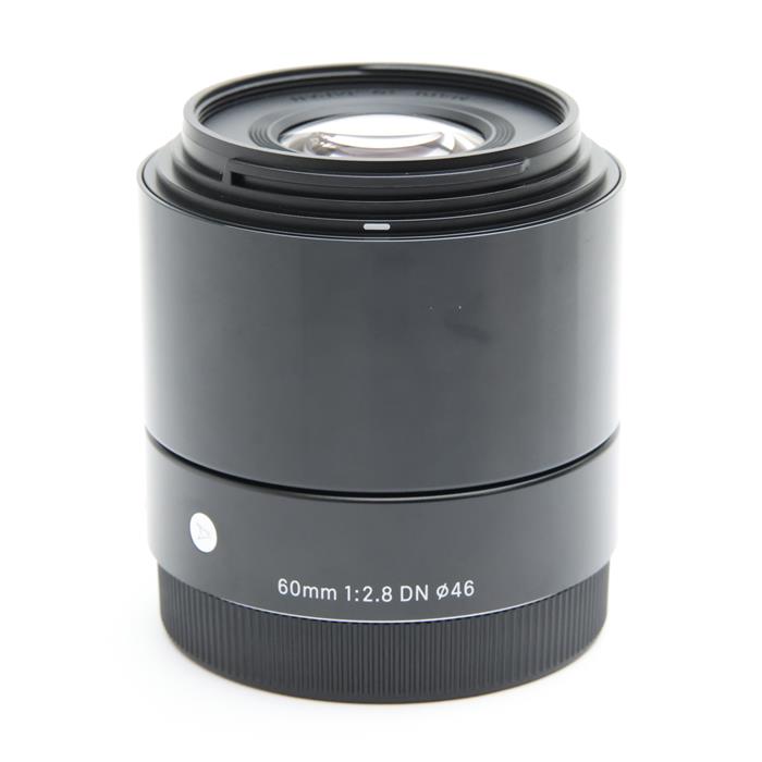 楽天市場】sigma 60mm f2．8 dn ソニーeの通販