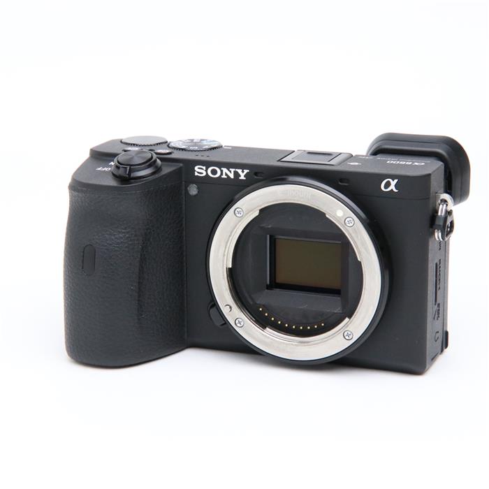 楽天市場】α6600の通販