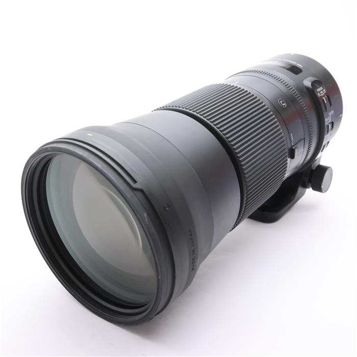 楽天市場】シグマレンズ150-600 nikonの通販