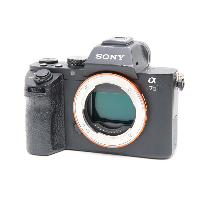 楽天市場】sony a7ii レンズの通販