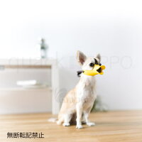 オッポ(OPPO)quack(クァック)SSブラウン(クアック)