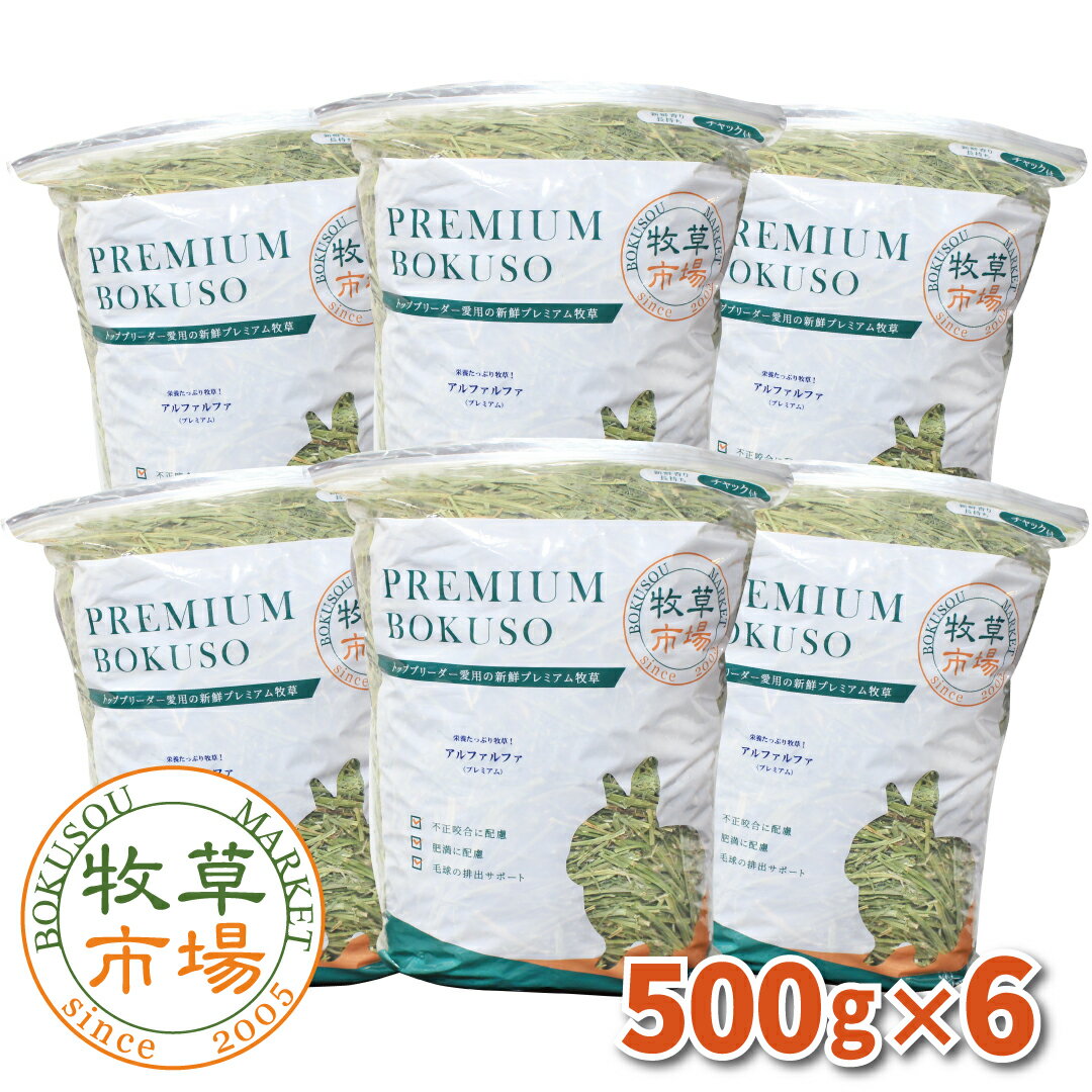 牧草市場 アルファルファプレミアム（牧草） 3kg（500g×6パック） （うさぎ・モルモットなどの牧草） 