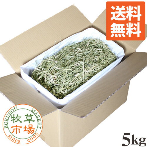 【送料無料】牧草市場 USチモシー2番刈り牧草ダブルプレス5kg（プレミアム） （うさぎ・モルモットなどの牧草 業務用） 【so-ymt】