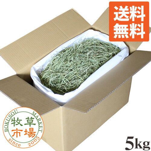 【送料無料】牧草市場 USチモシー2番刈り牧草ソフトタイプ5kg（ソフトチモシー） （うさぎ モルモットなどの牧草 業務用） 【so-ymt】