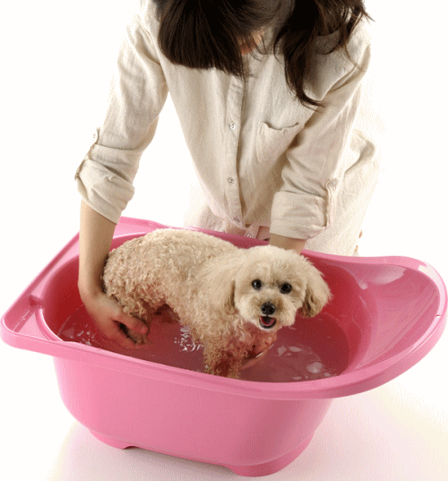 ペットバス ピンク