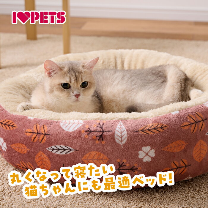 �⤳�⤳ �饦��ɥ٥å� �꡼�ե֥롼 M