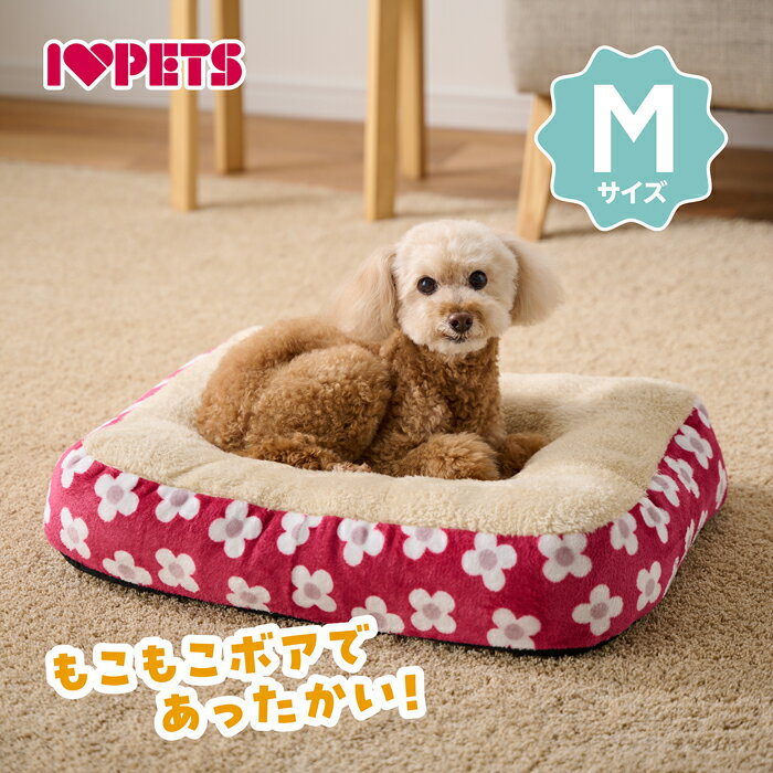 �⤳�⤳ �������� ���å���� �꡼�ե֥롼 M