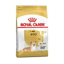 CJiiROYAL CANINj ` u[h wX j[gV Ep 8Έȏ 3kg