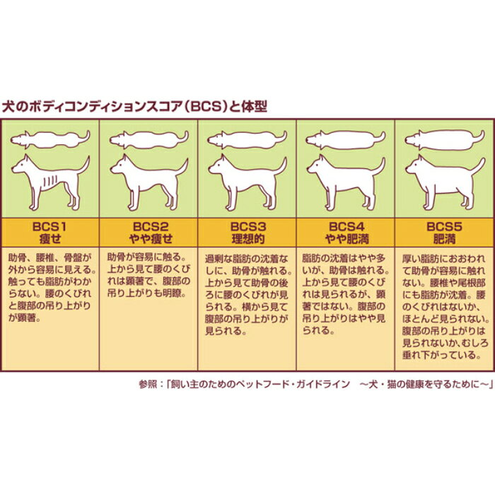 DHC 愛犬用 ダイエッドッグ 60粒